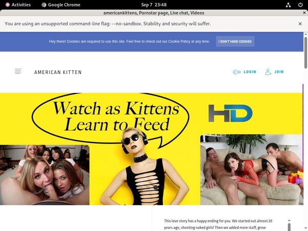 Americankittens With Australian Dollars