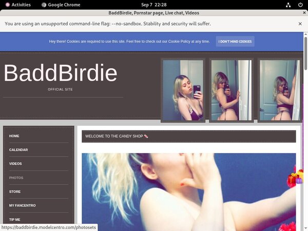 BaddBirdie Credits