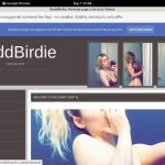 Baddbirdie.modelcentro.com Members