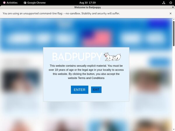 Badpuppy.com Paypal Option
