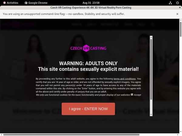 Czech VR Casting With Euros
