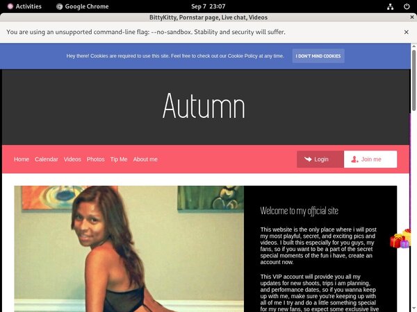 Free BittyKitty Accounts Premium