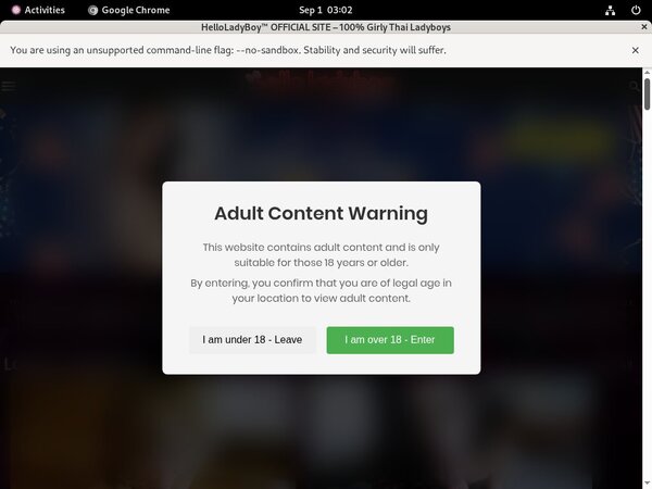 Free Helloladyboy.com Username And Password