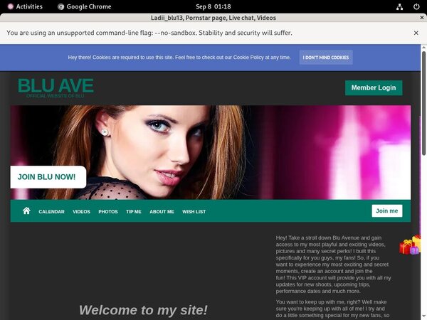Free Ladiiblu13.modelcentro.com Hacked Passwords