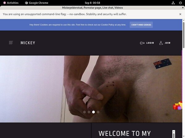 Free Mickeyelderstud Login Account