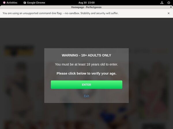 Free Perfectgonzo Password Account