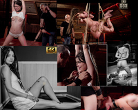 Free Subspace Land Accounts s1