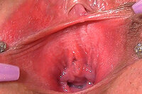 Gapemypussy.com Free Com s6