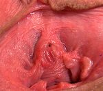 Gapemypussy.com Network