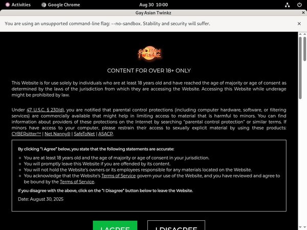 Gayasiantwinkz.com Porn Hd