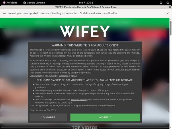 How To Get Free Wifey