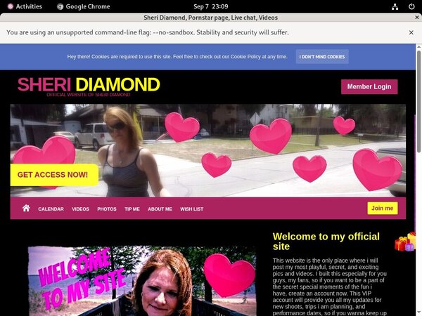 How To Get Into Sheri Diamond