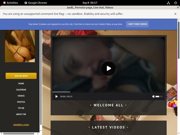 How To Get On Jael.modelcentro.com For Free