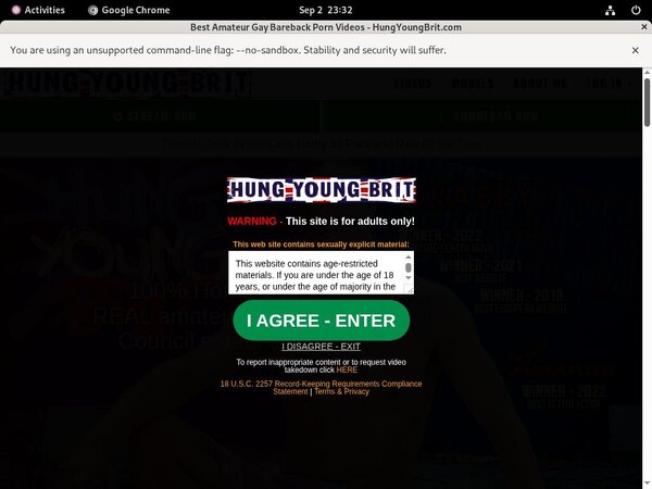 Hungyoungbrit.com Using Paypal