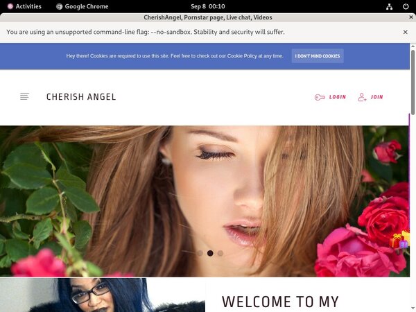 Is Cherishangel.modelcentro.com Real