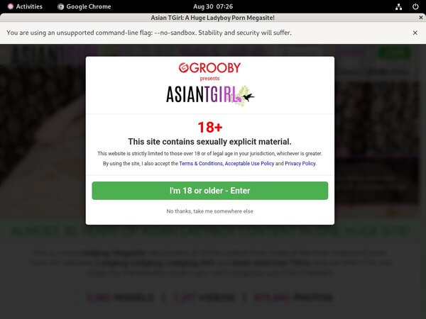 Ladyboy-ladyboy.com Men