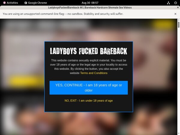 Ladyboys Fucked Bareback Site Review