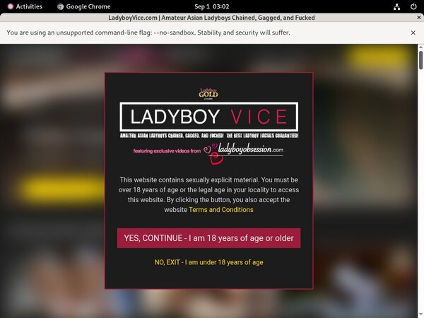 Ladyboyvice.com Black