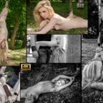 Land Subspace Premium Password