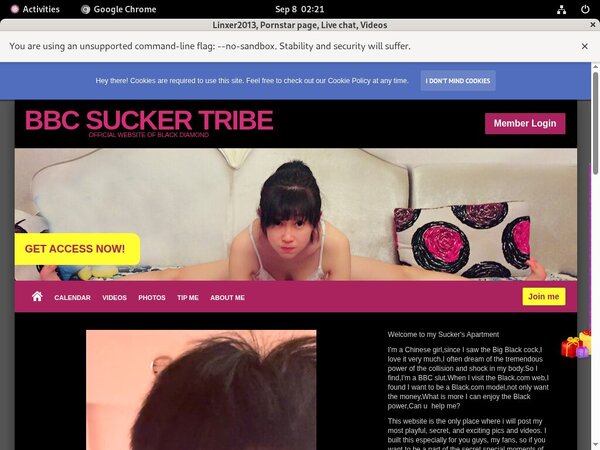 Linxer2013.modelcentro.com Trial Discount