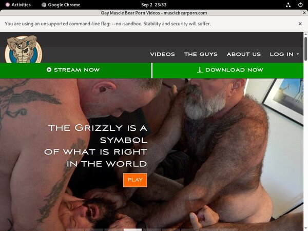 Muscle Bear Porn Gift