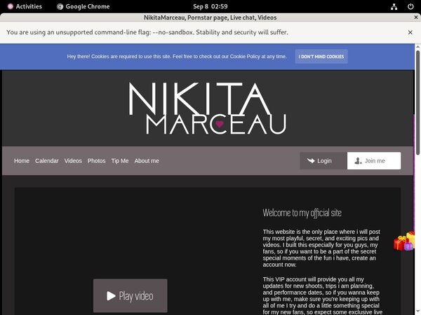 Nikitamarceau.modelcentro.com Passwords Blog