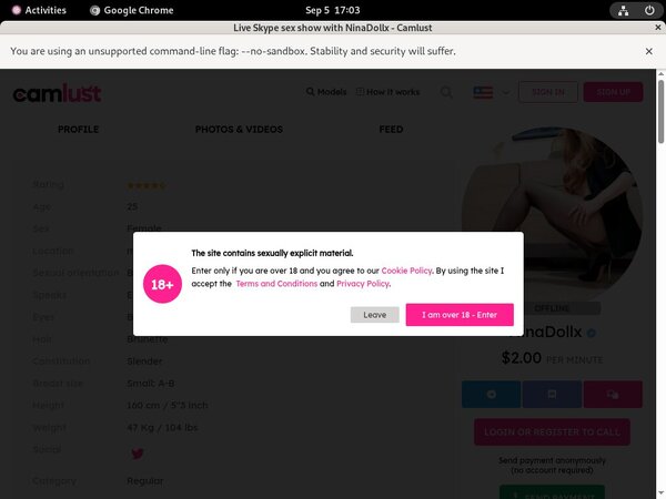 Ninadollx Account Login