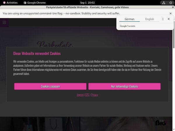 Parkplatzluder19 Premium Pass