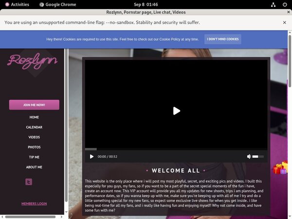 Rozlynn.modelcentro.com Discount Codes
