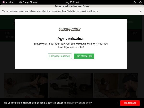 Sketboy Member Passwords