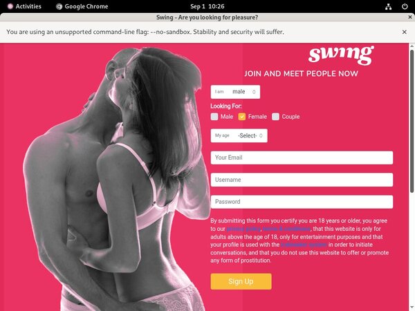 Swing.net Free Passwords