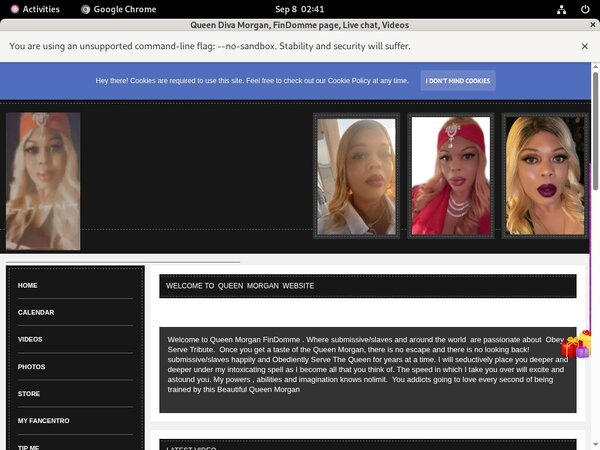 [Image: Thequeenmorgan-Access.jpg]