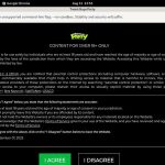 Twinkboysparty.com Galleries