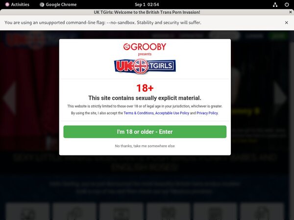 UK TGirls Password Generator