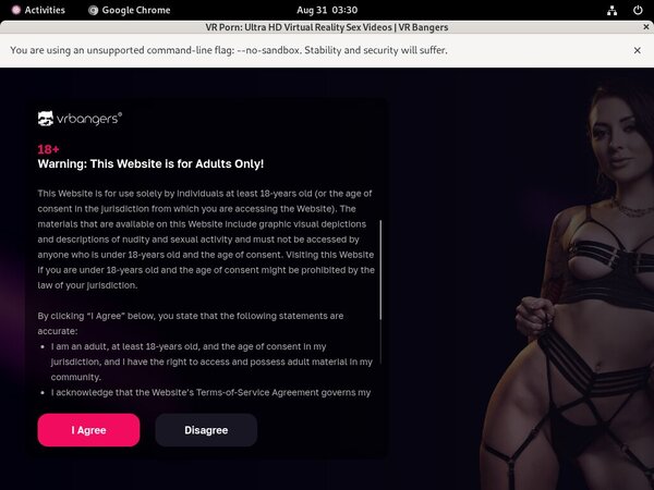 VR Bangers Hd Videos
