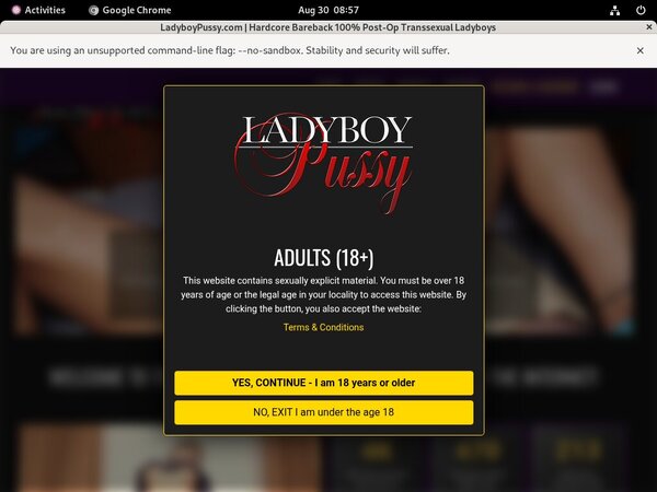 Www Ladyboypussy Com