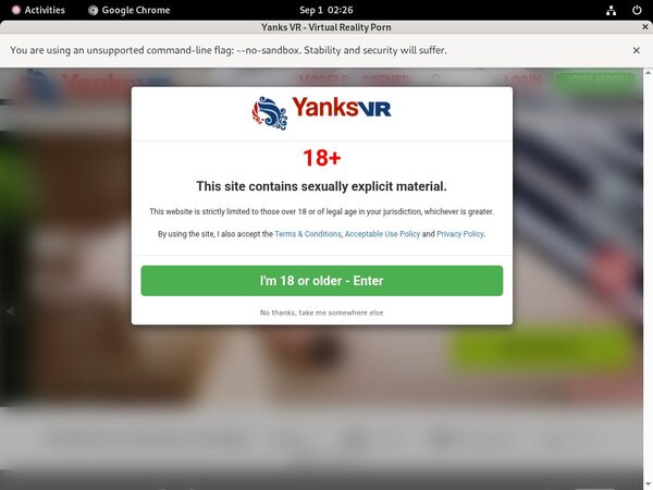Yanksvr Discount Review