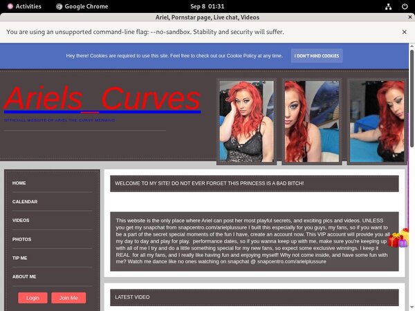 Get Arielplussure.modelcentro.com Free